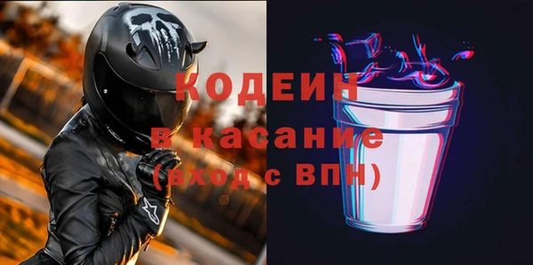 спиды Вяземский