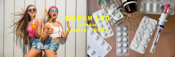 PSILOCYBIN Навашино