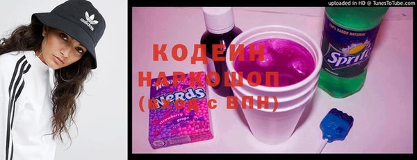 спиды Вяземский