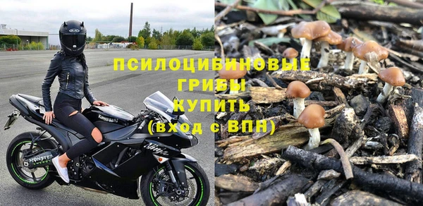 спиды Вяземский