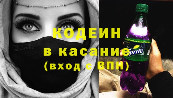 спиды Вяземский